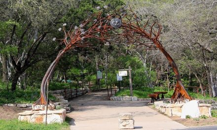 Austin Nature and Science Center Info: Everything you need to know
