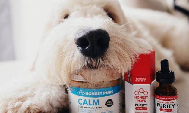 Honest Paws Offers 100% All-Natural Products Made for Pets